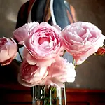 La Des Roses D'hotes Piscine Chauffee 4* Lucon