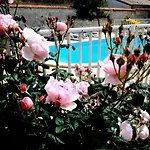 La Des Roses D'hotes Piscine Chauffee Bed & Breakfast
