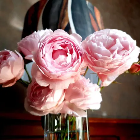 La Villa Des Roses Gite Chambres D'Hotes Piscine Chauffee * Luçon