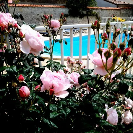 La Villa Des Roses Gite Chambres D'Hotes Piscine Chauffee 別荘