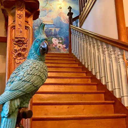 別荘 La Villa Des Roses Gite Chambres D'Hotes Piscine Chauffee