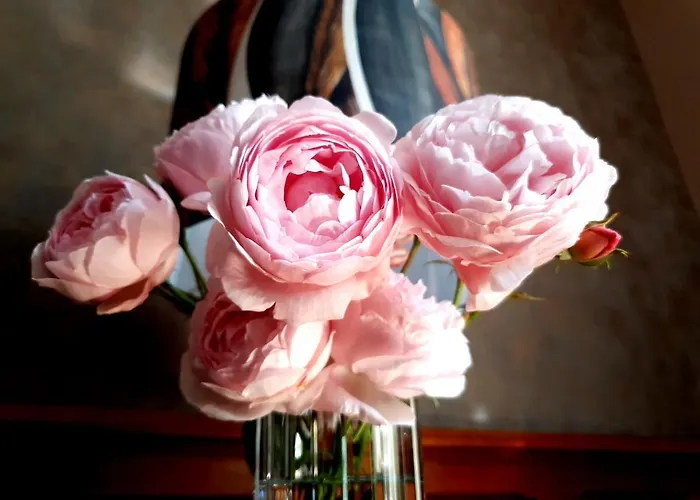 La Des Roses D'hôtes Piscine Chauffée 4* Luçon